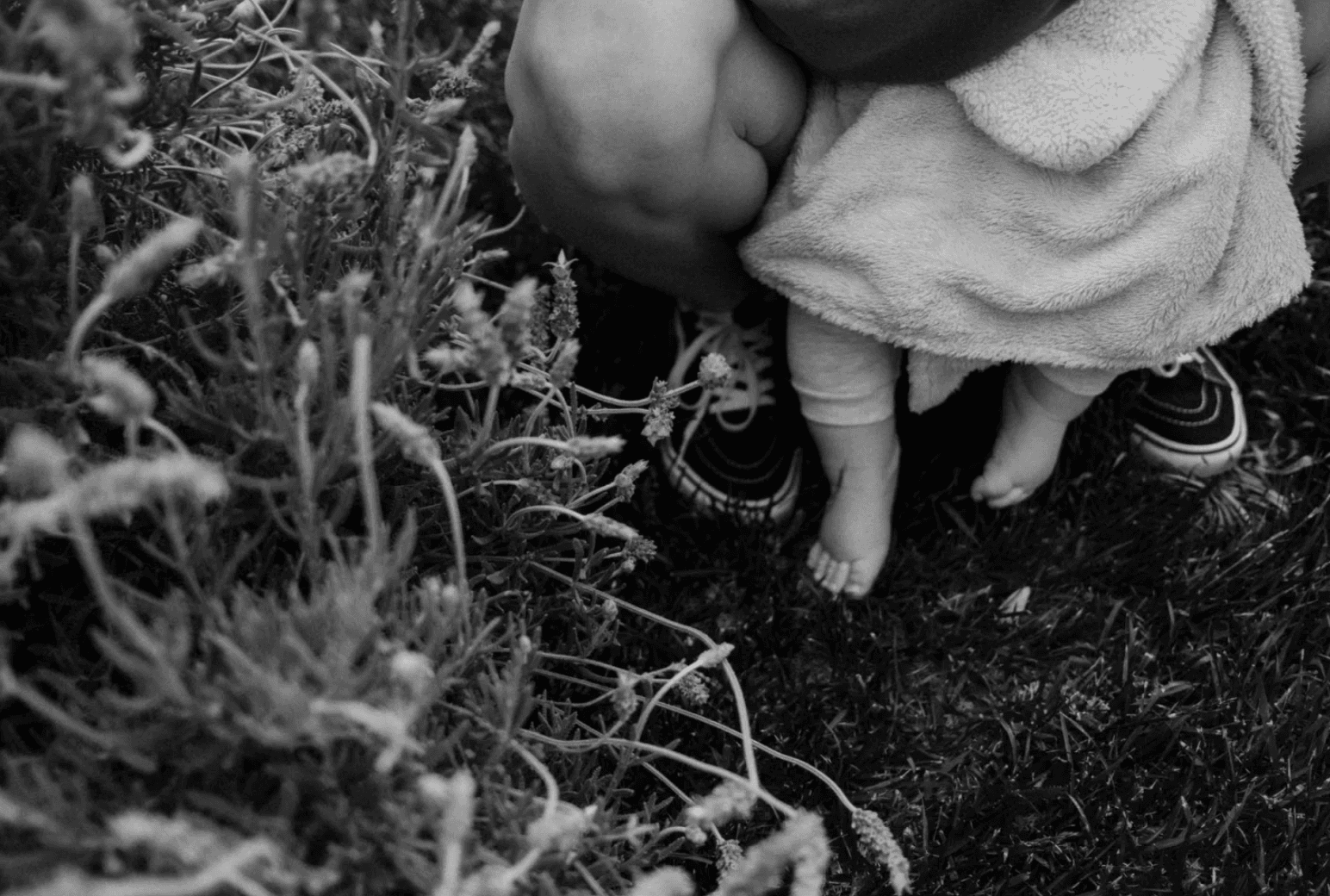 Les pieds nus d'un bébé dans l'herbe, près de lavandes.